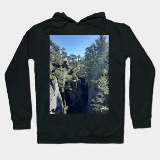 Crater in the forest Hoodie